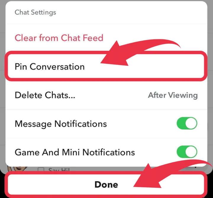 Snapchat Pin Conversation | CyberCrew