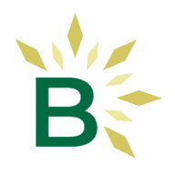 Bleyer Bullion